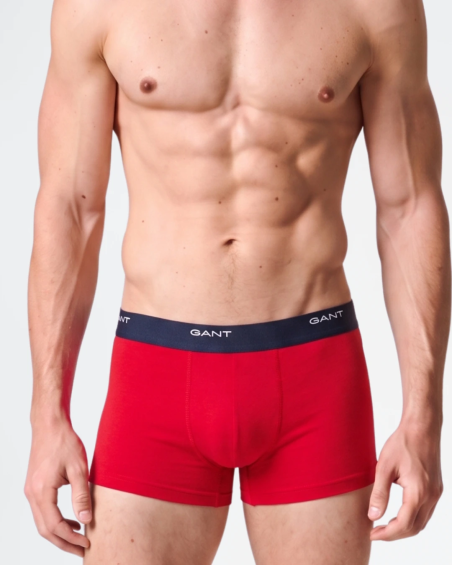 Pack 3 bóxers GANT Core Trunk para hombre 900003333 en color multicolor